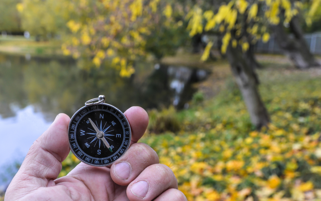 Choisissez votre destin comme un ninja : l&rsquo;orientation professionnelle secrète des métiers méconnus